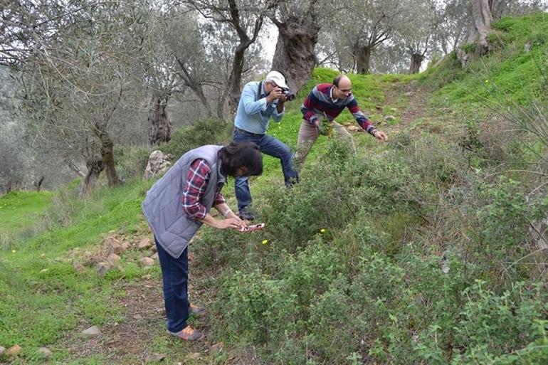 Balıkesir’de 5 yer ’Doğal Sit Alanı’ ilan edilecek