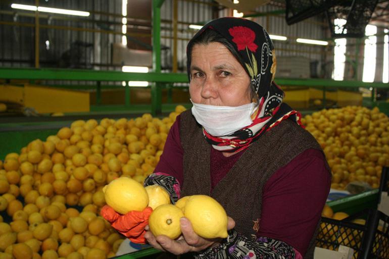 Talep arttı! Açıklama geldi... 'Kimse endişelenmesin, yeteri kadar var'