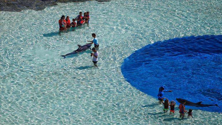 Turizmciler corona virüs salgını sonrası dönemden umutlu