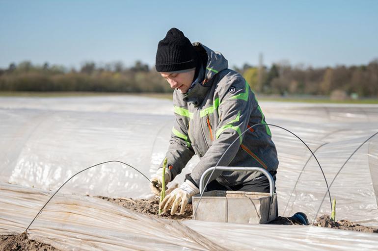 Çiftçilerin umudu Merkel’de