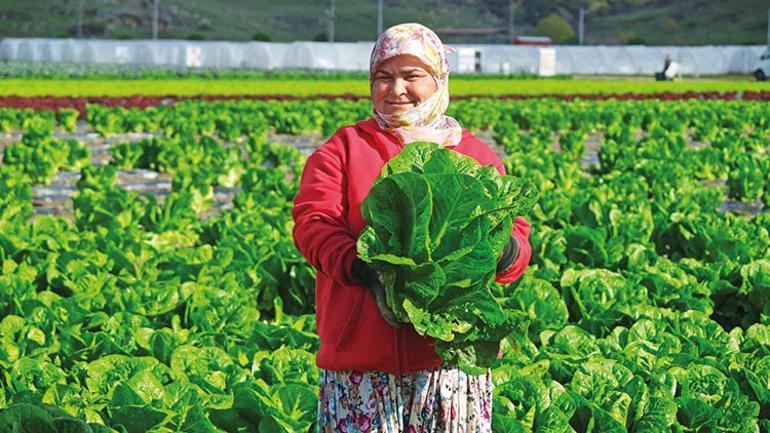 Çiftçi tarlaya gidemezse sorunumuz büyük olur