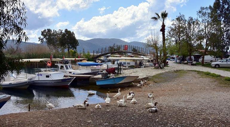 Sakin şehir Akyaka ördeklere kaldı