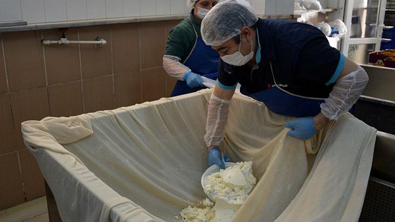 Türkiyenin sebze ve meyve üssü Antalyada üretim aralıksız sürdü