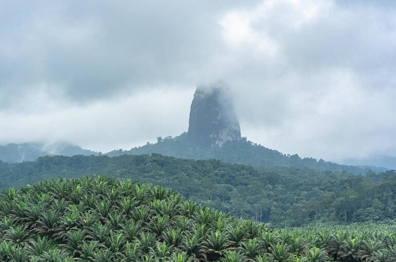 'Kaybolmuş dünyada' iğne tipi bir kayalık: Pico Cao Grande