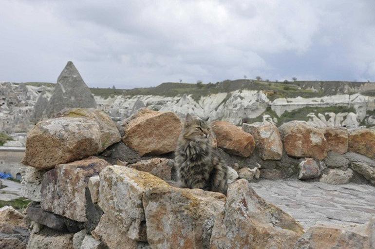 Kapadokya'da koronavirüs sessizliği