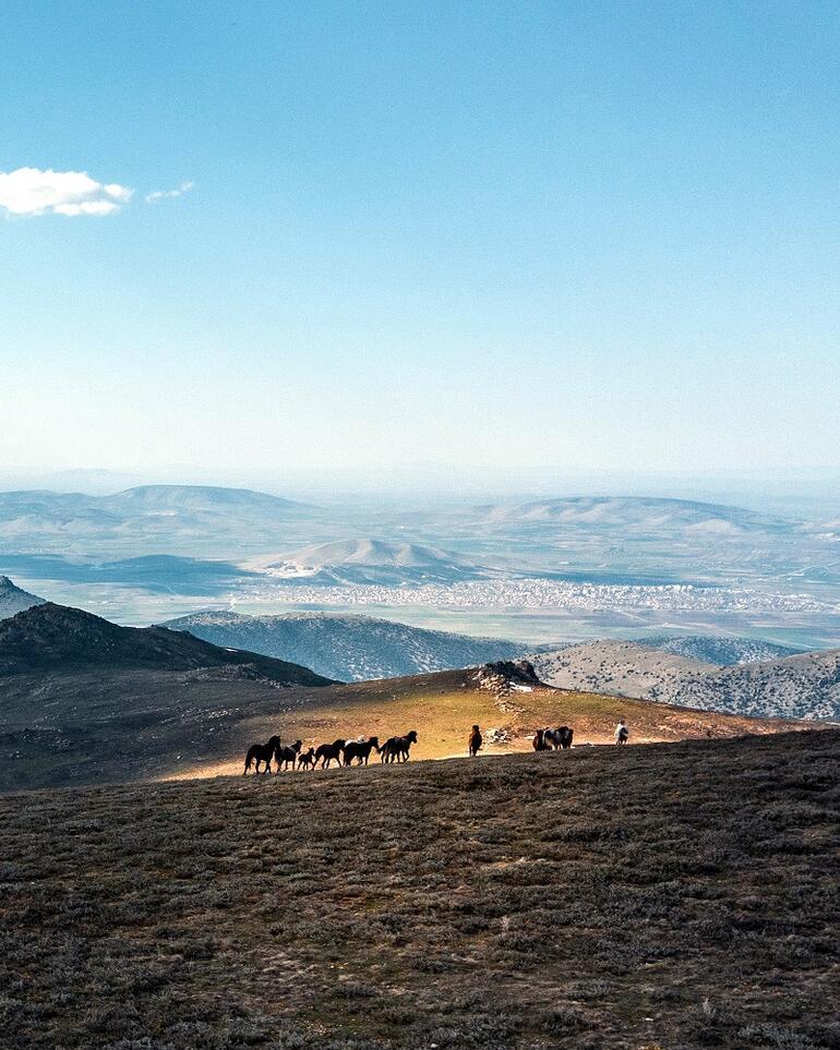 Emir Dağları'ndaki yılkı atları havadan görüntülendi