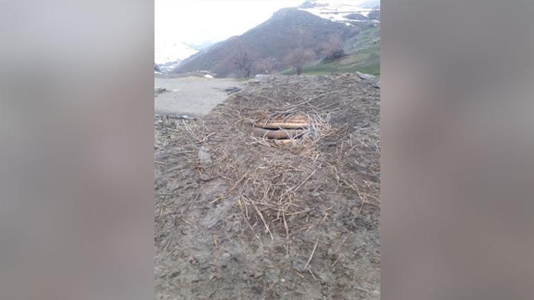 Hakkaride ayı, bu kez 25 koyunu telef etti