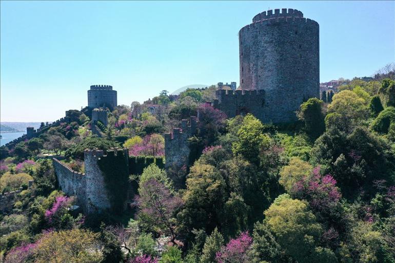 Erguvanlar İstanbul Boğazı'nı taçlandırdı