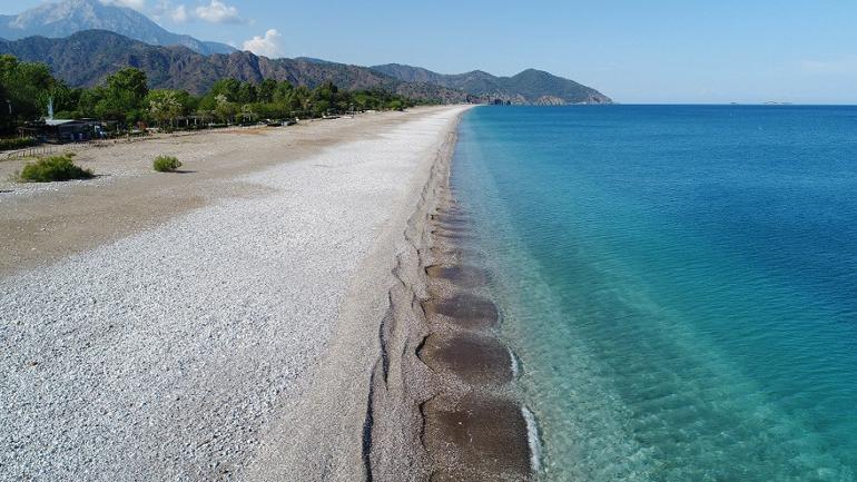 Caretta carettaların sahillerinde 'koronavirüs' sessizliği