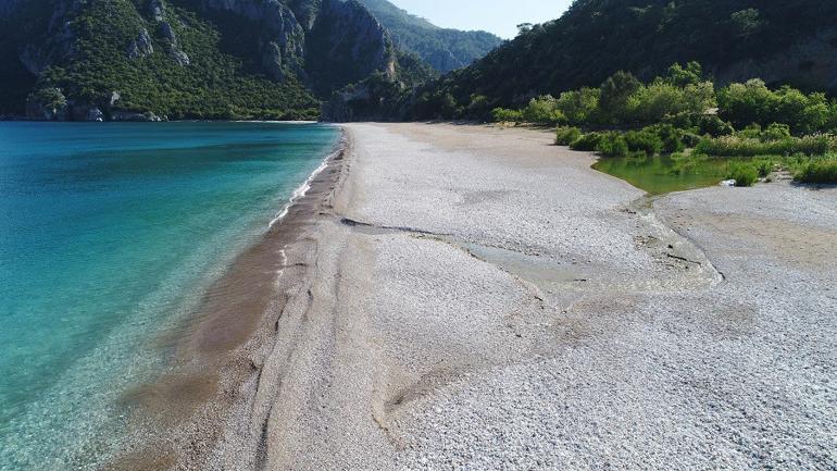 Caretta carettaların sahillerinde 'koronavirüs' sessizliği