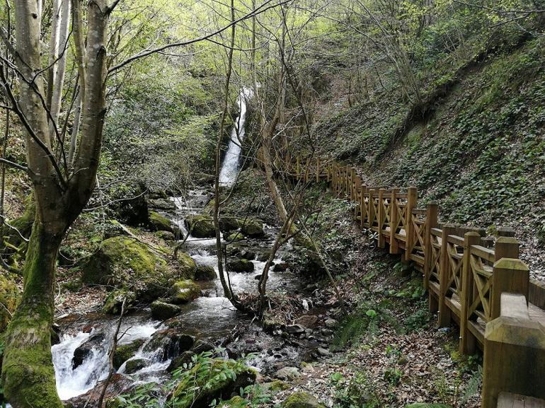 Vatandaşlar tedbirlere uydu, mesire alanları boş kaldı