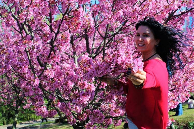 İstanbul için sakura zamanı: Nezahat Gökyiğit Botanik Bahçesi