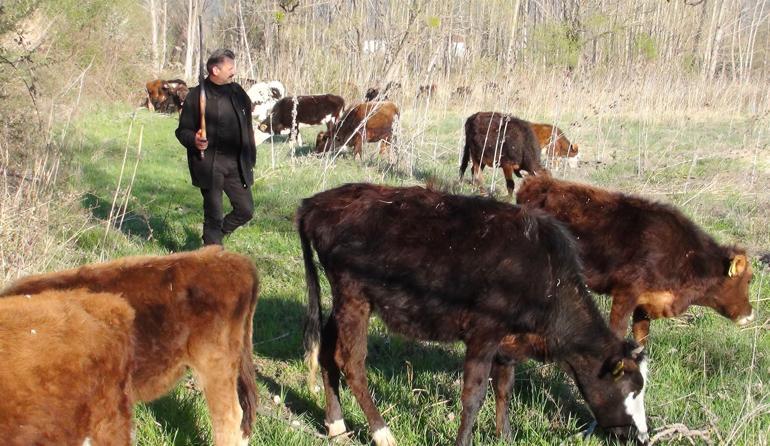 Yatırım için geldi! Salgın nedeniyle Fransa'ya dönemeyince bunu yapmaya başladı