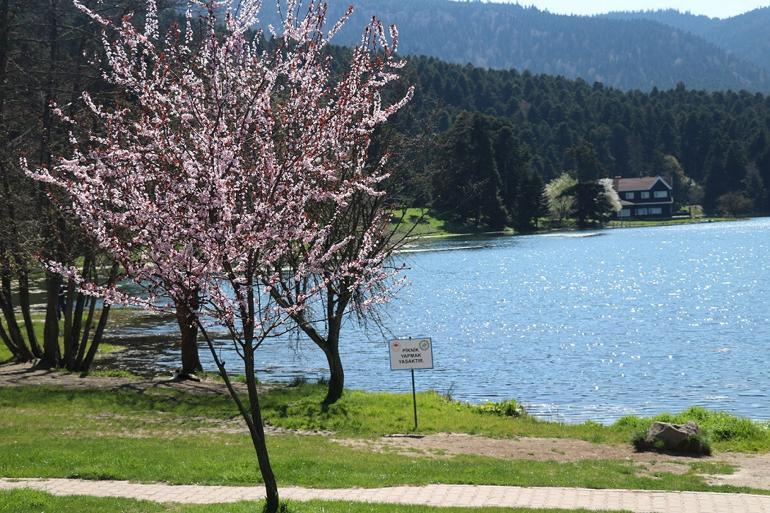 Gölcük Tabiat Parkı sessizliğe büründü