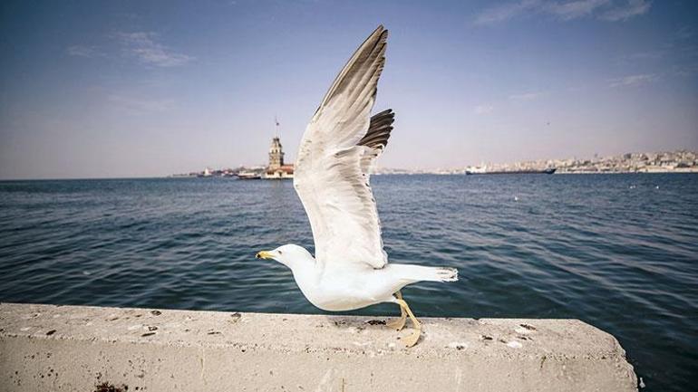 Son dakika haberi... O iller için yeni corona virüs uygulaması: Tersine karantina