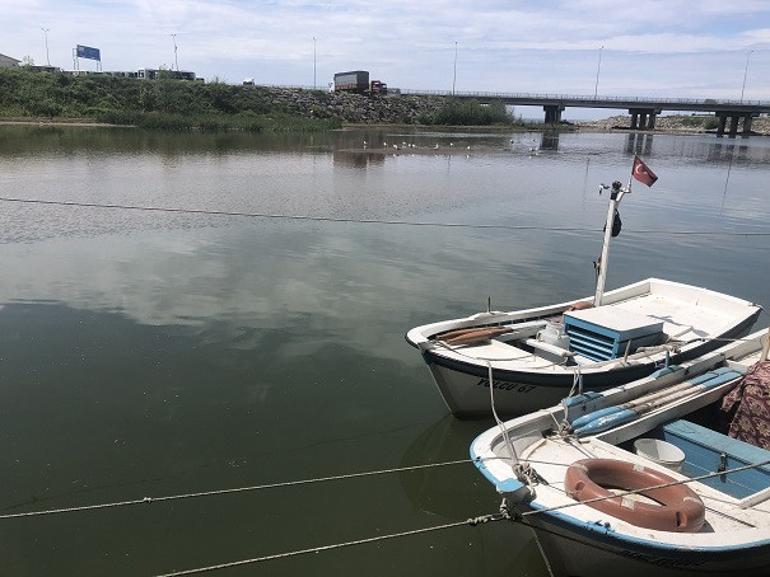 40 yıldır kirli çay, kendi kendine temizlendi