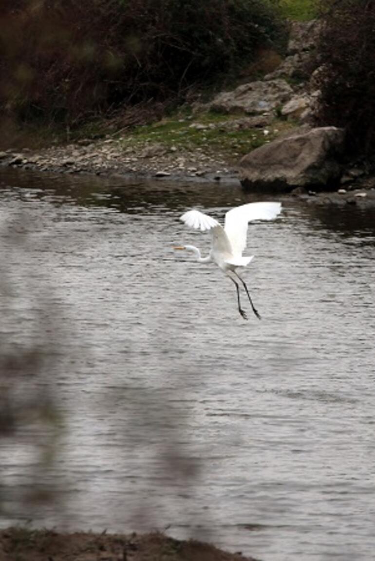UNESCO Dünya Mirası Daimi Listesi'ne aday deltada, 359 kuş türü yaşıyor