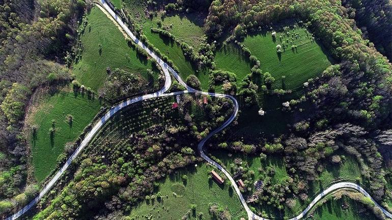 Kırklareli'ndeki longoz ormanları en sakin günlerini yaşıyor