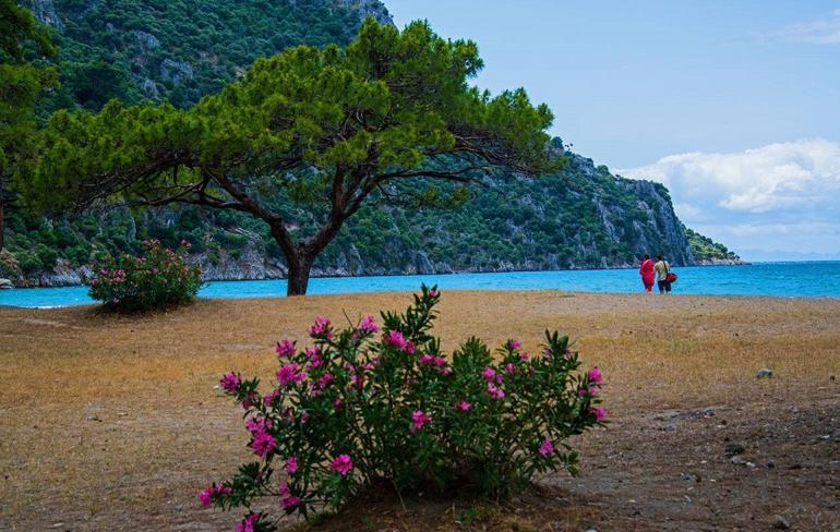 Muğla'da 3 bölge 'kesin korunacak hassas alan' ilan edildi