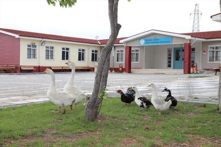 Öğrencilere sevgi aşısı