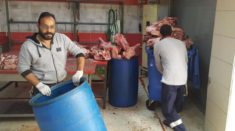 Mide bulandıran görüntüler Tam 1.5 ton...