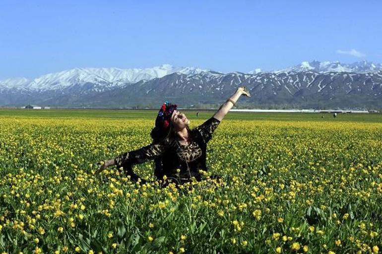 Yüksekova'da dağda kar, ovada sarı çiçekler