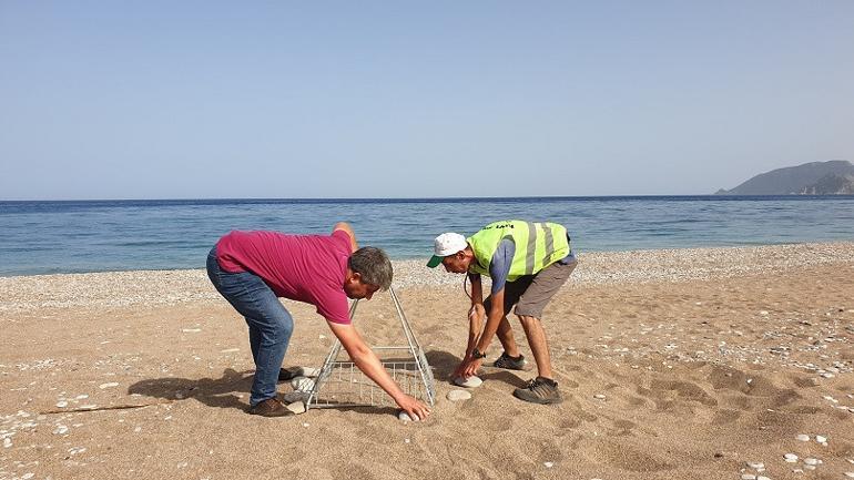 Çıralı'da bu yılın ilk caretta yuvaları