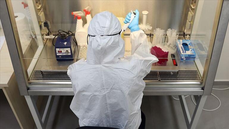 Koronavirüs mücadelesi: Bir laboratuvardan diğerine geçiş yasak
