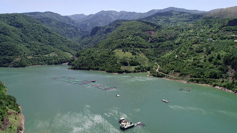 ABD'de genel müdürdü... Rize'deki köyüne döndü! Şimdi 12 ülkeye ihracat yapıyor, talebe yetişemiyor