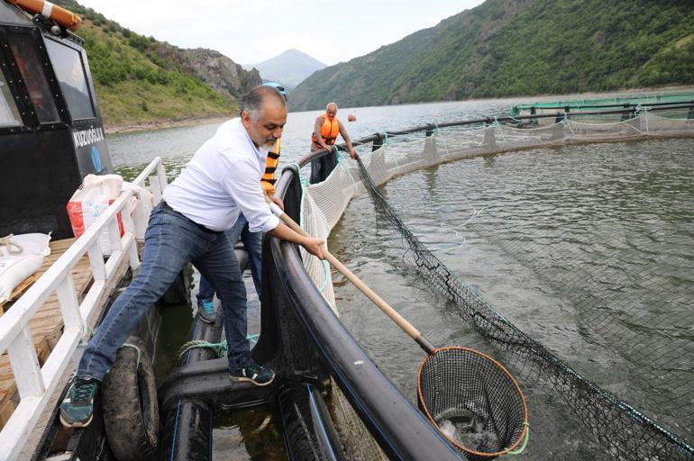 ABD'de genel müdürdü... Rize'deki köyüne döndü! Şimdi 12 ülkeye ihracat yapıyor, talebe yetişemiyor