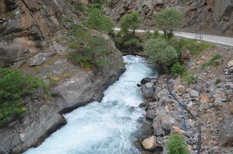 Berrak su yeşilliklerle birleşti, kartpostallık görüntüler oluştu