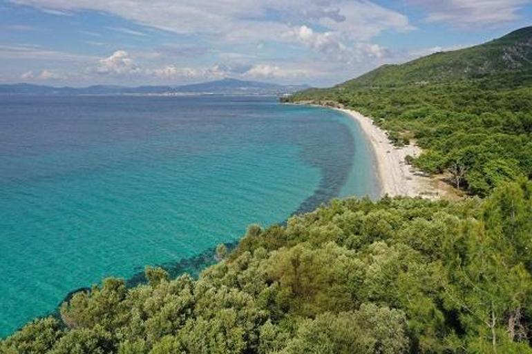 Ziyarete açıldı, ilk günden akın ettiler... Sosyal mesafeli piknik