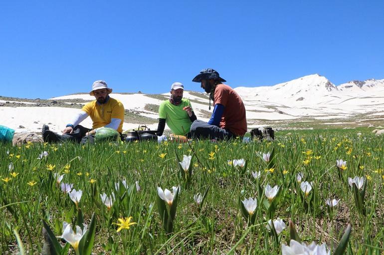 Berçelan Yaylası'nda haziranda snowboard