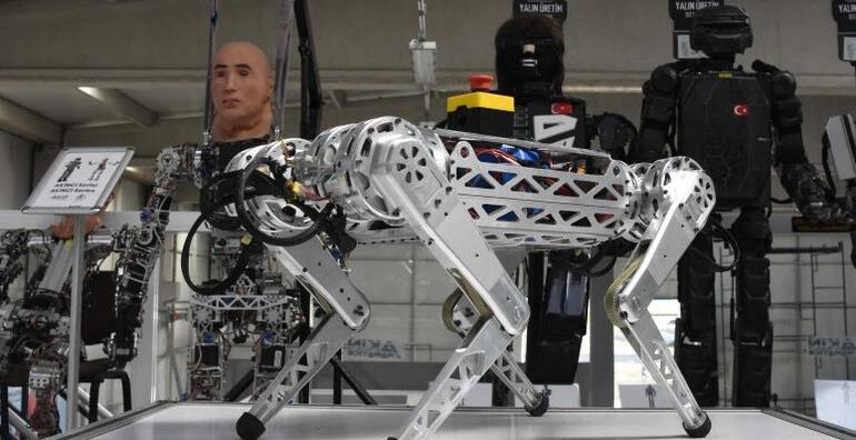 Dört ayaklı yerli robot, tehlikeli işlerin üstesinden gelecek