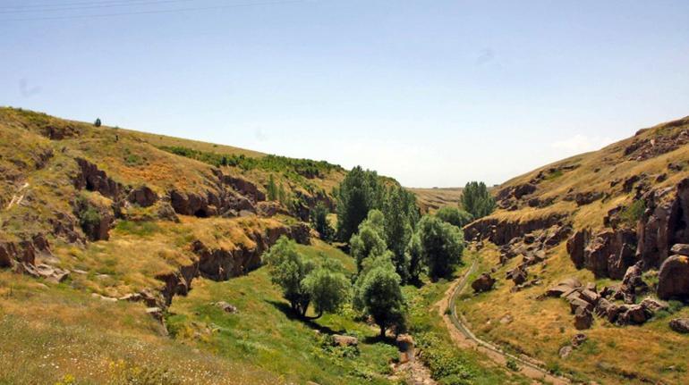 Bitlis'te Ahlat Sazlıkları ve Madavans Vadisi 'kesin korunacak hassas alan' ilan edildi