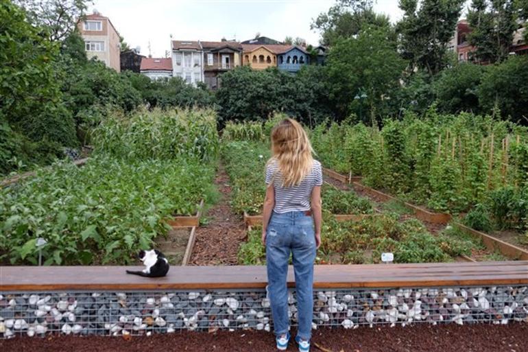 Yeni normalde şehrini baştan keşfet! İstanbul’un en otantik üç semti…