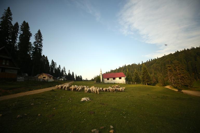 Batı Karadeniz yaylaları normalleşme süreciyle şenlendi