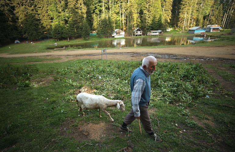 Batı Karadeniz yaylaları normalleşme süreciyle şenlendi