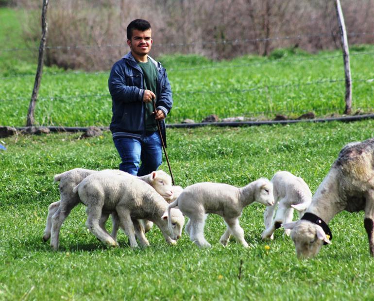 Son dakika... Başvurular başladı! Hibe desteği yükseldi