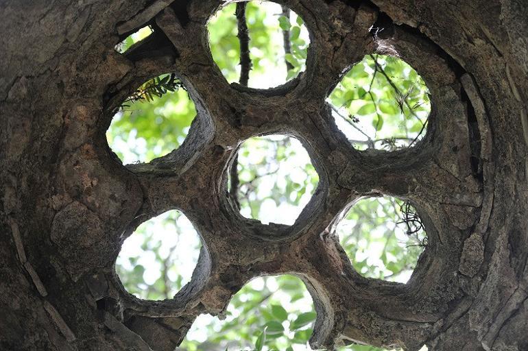 Zeytin ağaçları arasındaki 600 yıllık hamam, definecilerin hedefi oldu