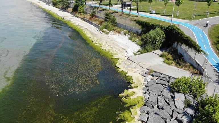 Florya Gunes Plaji Senlik Istanbul Istanbul