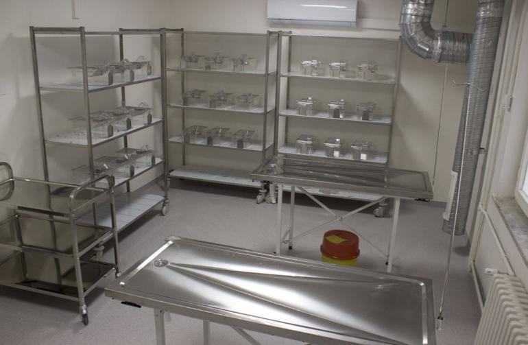 Muğlada Deney Hayvanları Uygulama ve Araştırma Merkezi kuruldu