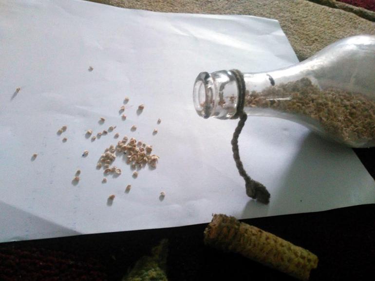 Tavan arasında buldu Talebe yetişemiyor