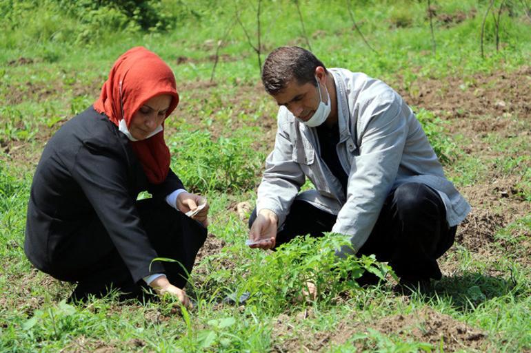 Tavan arasında buldu Talebe yetişemiyor