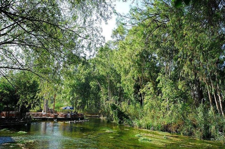 Gökova’da yeşilin elli tonu: Akyaka