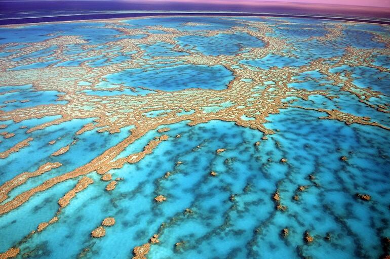 Her gezginin hayalini süsleyen rota: Büyük Bariyer Resifi
