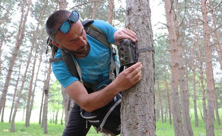 'Dağların oğlu' yaban hayatın fotokapanı gibi