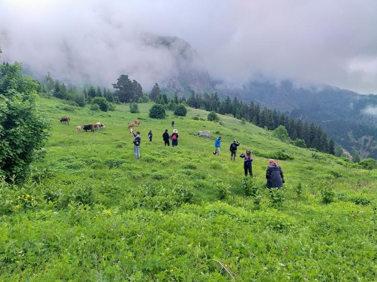 Artvin'de bin 800 rakımlı köyde kamp keyfi