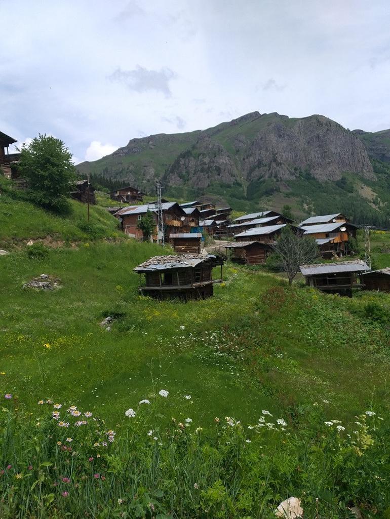 Artvin'de bin 800 rakımlı köyde kamp keyfi