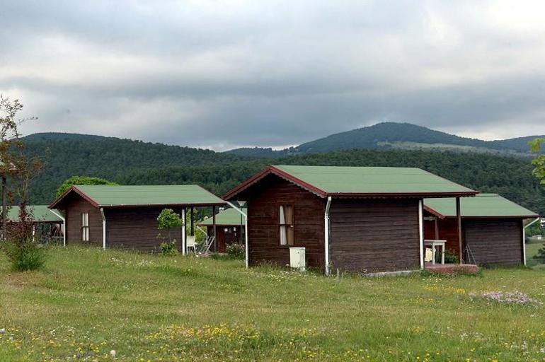 Çamiçi Yaylası'nda çam ormanının içinde doğayla baş başa tatil imkanı